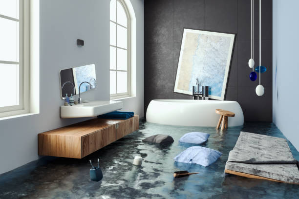 Best Mold removal after water damage  in Pahrump, NV