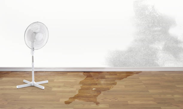 Sewage cleanup and water damage restoration in Pahrump, NV