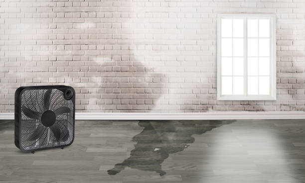 Professional Water damage restoration in Pahrump, NV