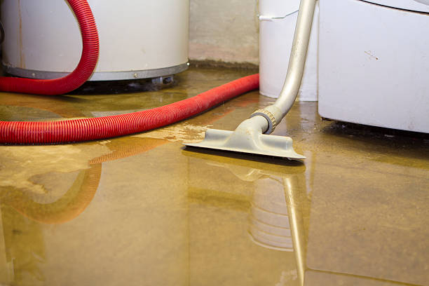 Best Sewage cleanup and water damage restoration  in Pahrump, NV