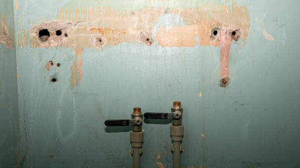 Best Water damage restoration company  in Pahrump, NV