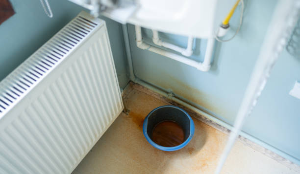 Best 24/7 water damage repair  in Pahrump, NV