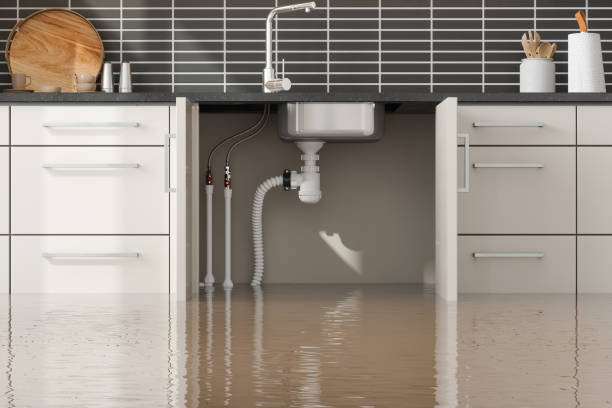 Best Water damage restoration near me  in Pahrump, NV