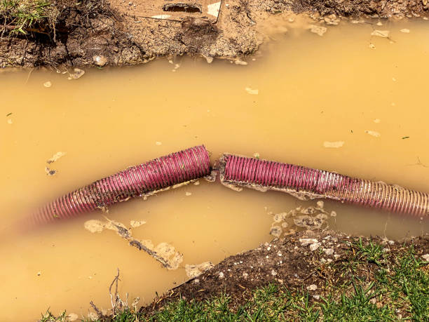 Best Local water damage restoration  in Pahrump, NV