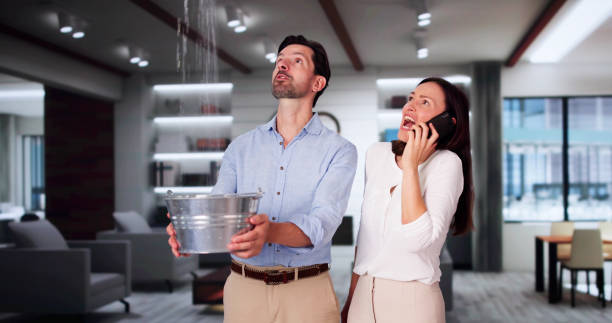 Best Residential water damage restoration  in Pahrump, NV