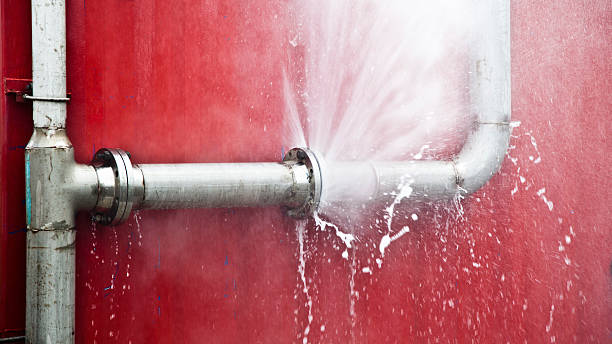 Best Water damage contractors near me  in Pahrump, NV