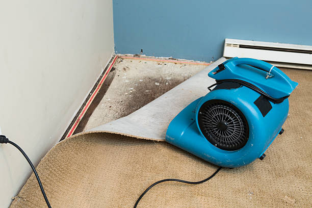 Best Ceiling water damage repair  in Pahrump, NV